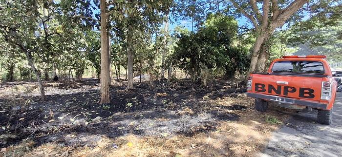 Kebakaran Hutan dan Lahan Kembali Landa Desa Bambalemo Parimo, Damkar Sempat Kehabisan Air