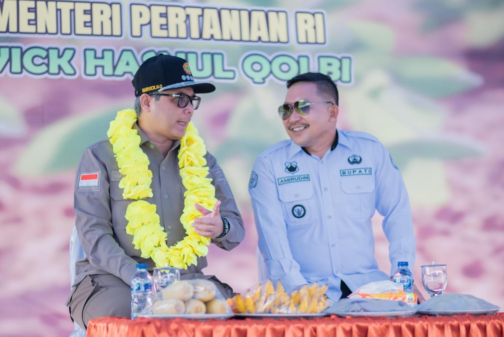 Harvick-Hasnul-Qolbi-di-Banggai-2024.jpg