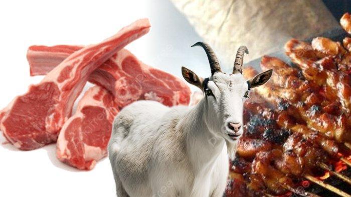 ILUSTRASI-DAGING-KAMBING.jpg