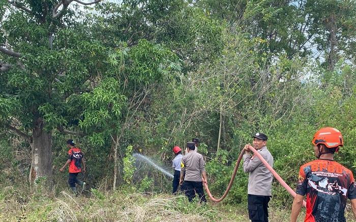 Kebakaran Hutan dan Lahan Hanguskan Setengah Hektare Perkebunan di Desa Jonokalora Parigi Moutong