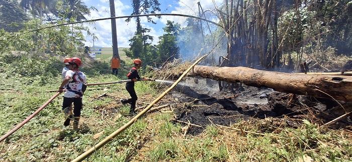 Pemda Parimo Terbitkan Surat Larangan Pembakaran Lahan, 14 Kasus Karhutla Terjadi di Januari 2026