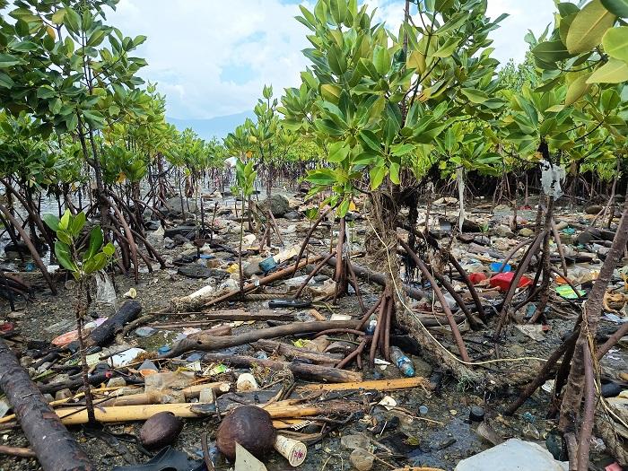 Keberadaan-sampah-ini-tak-hanya-merusak-keindahan-pesisir-pantai.jpg