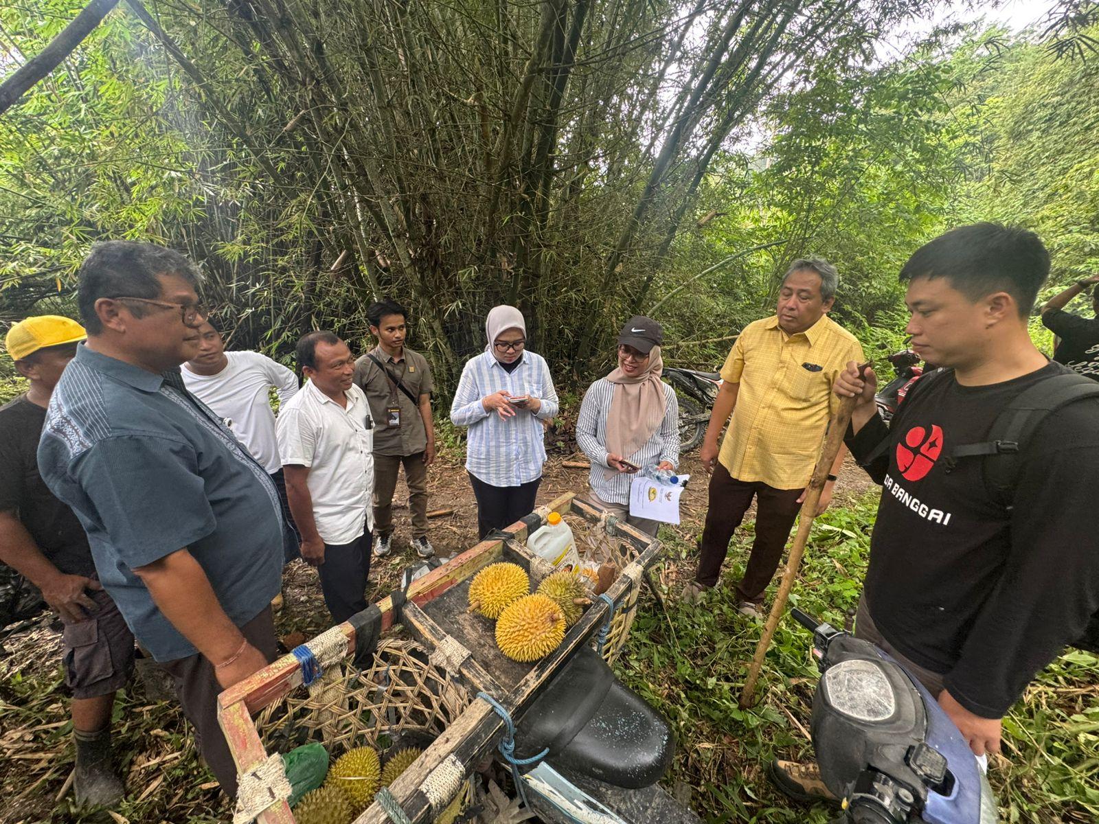 Kemenkum-Sulteng-Kawal-Pemeriksaan-Substantif-IG-Durian-Nambo-Banggai.jpg