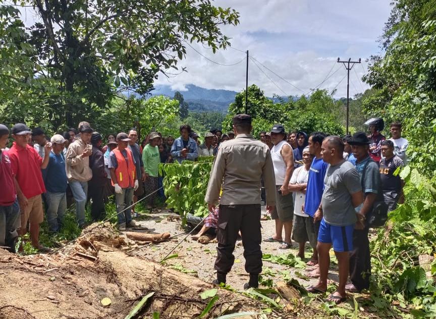 Nenek dan Cucu Tewas Tertimpa Pohon Tumbang di Kulawi Sigi