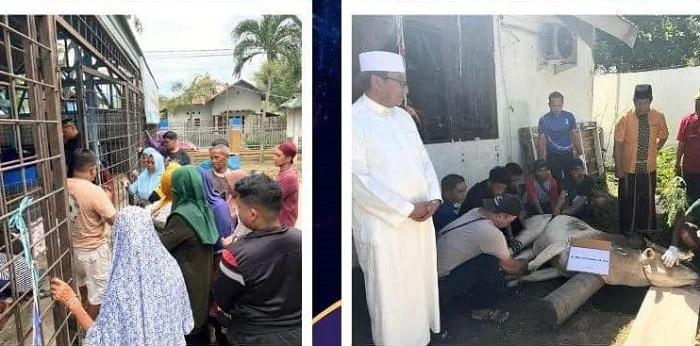 Dinas Kelautan dan Perikanan Sulteng Sembelih 5 Sapi Kurban di Momen Idul Adha 2024