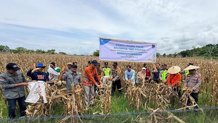 Program PPM PT Vale Hidupkan 5 Ha Lahan Tidur Jadi Produktif di Tondowoliu Kolaka