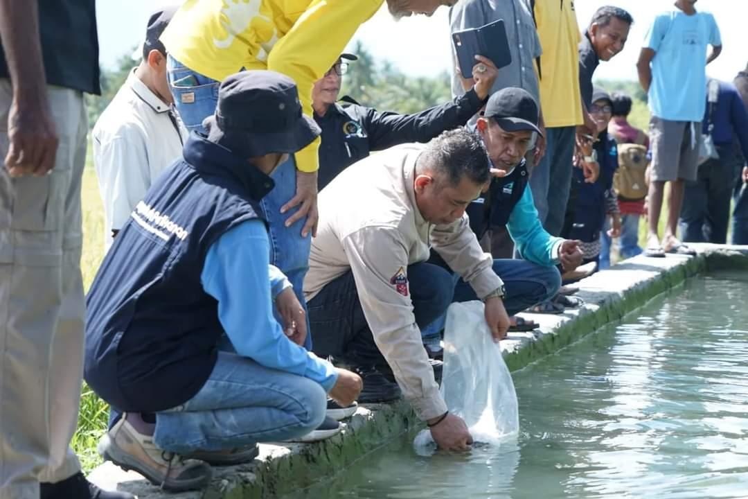 Pemkab-Sigi-Lepas-Ribuan-Bibit-Ikan-Emas-dan-Ikan-Nila-di-Kecamatan-Morawola.jpg