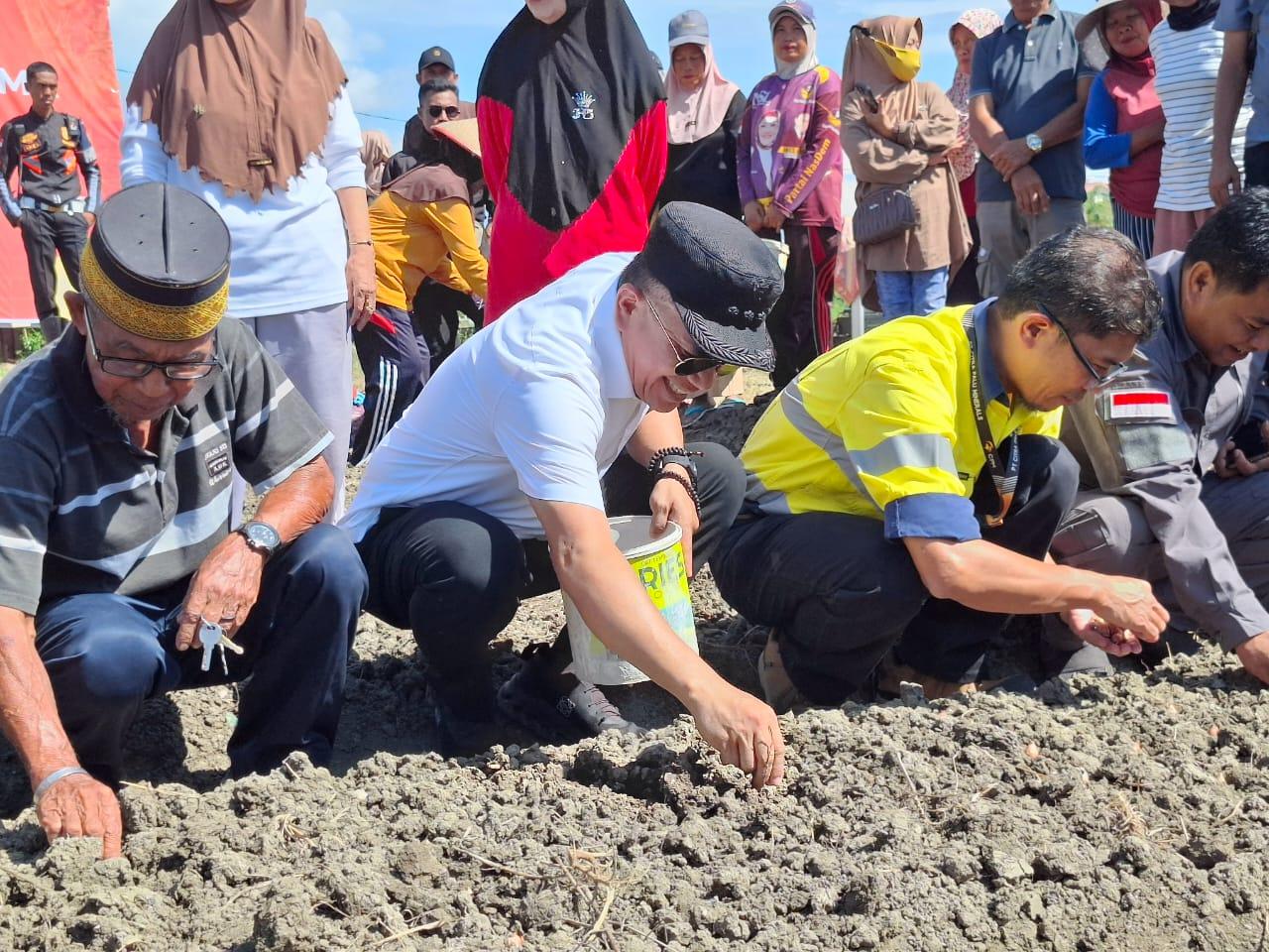 Penanaman-Bawang-di-Tanamodindi-Palu-2025.jpg