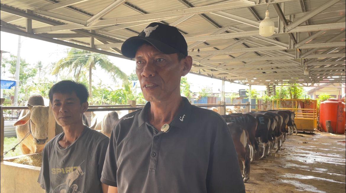 Penjualan-Sapi-Kurban-di-Palu-Meningkat.jpg