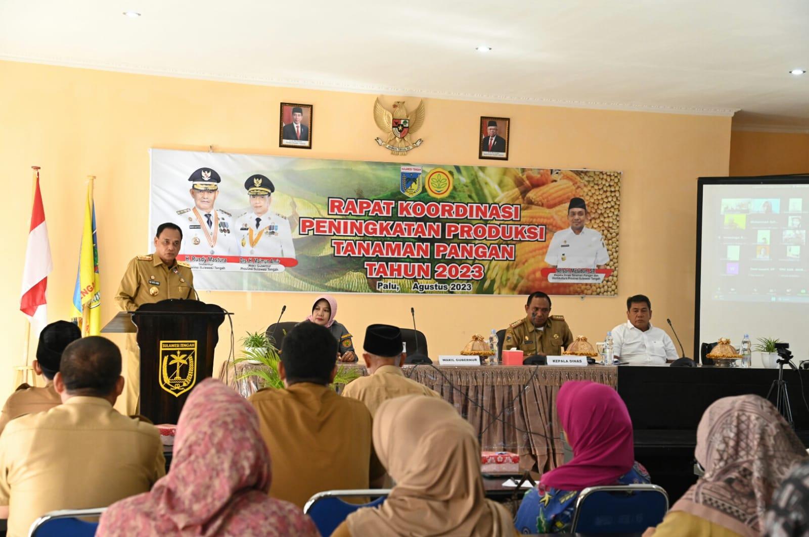 Pemprov Sulteng Antisipasi Dampak El Nino dengan Siapkan 1.000 Hektare Lahan Padi