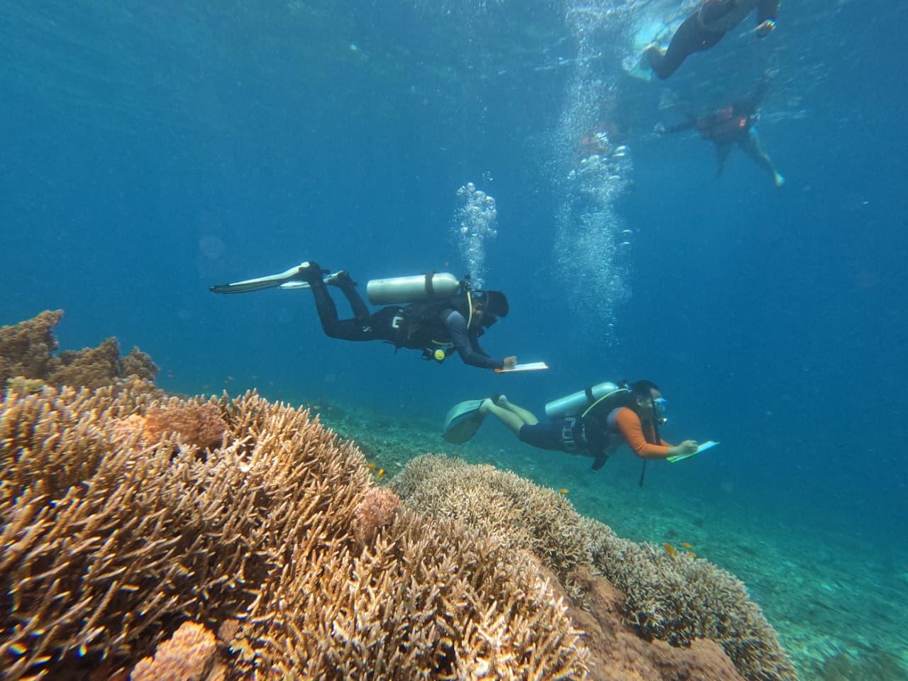 Gandeng Warga dan Relawan, PT IMIP Rehabilitasi Terumbu Karang Sombori Morowali - Rehabilitasi-Terumbu-Karang-Sombori.jpg