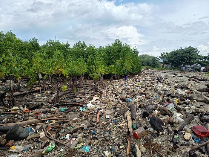 Sampah-Pesisir-Pantai-Dupa-Palu-Merusak-Ekosistem-dan-Ganggu-Aktivitas-Nelayan.jpg