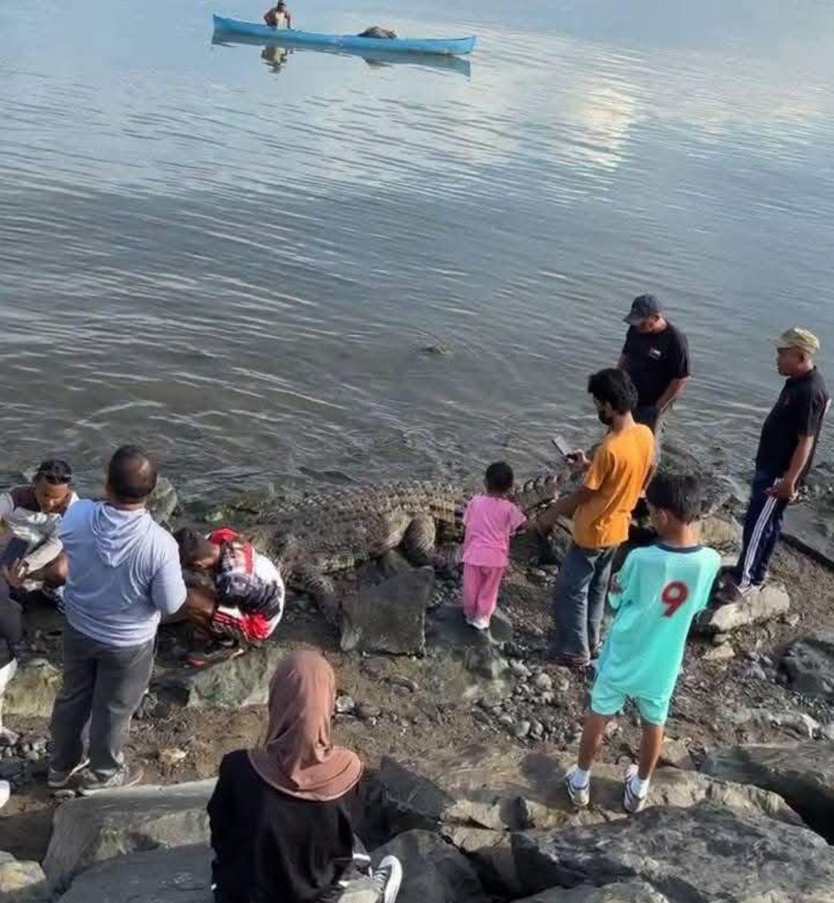 Seekor-buaya-raksasa-ditemukan-sudah-tak-bernyawa-dan-terdampar-di-bibir-Pantai-Teluk-Palu.jpg
