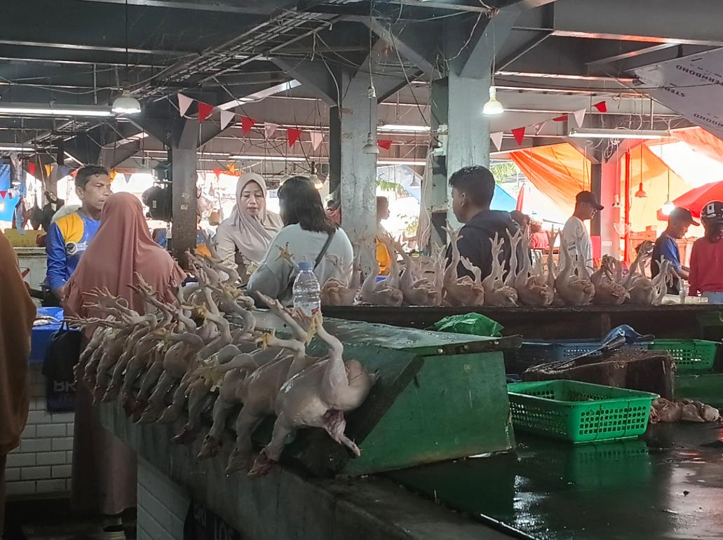 Setelah-Idulfitri-Harga-Daging-Ayam-di-Banggai-Belum-Turun-Cabai-Tembus-Rp100-Ribu.jpg
