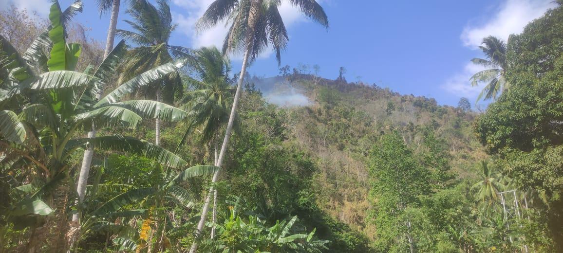TRC-BPBD-Parigi-Moutong-Lakukan-Asesmen-Awal-Kebakaran-Hutan-di-Ambason-Mekar.jpg