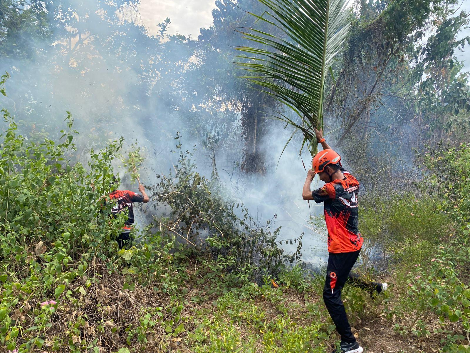 Pemda Parigi Moutong Tetapkan Siaga Darurat Karhutla dan Kekeringan hingga 29 Februari 2026