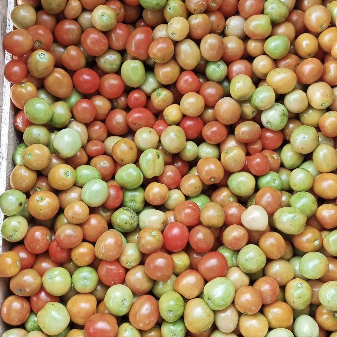 Tomat-di-Pasar-Masomba-Naik-Lagi-Tembus-Rp25-Ribu-per-Kilo-Berikut-Harga-Bumbu-Dapur-Hari-Ini.jpg