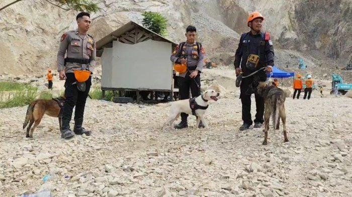 anjing-pelacak-korban-longsor.jpg