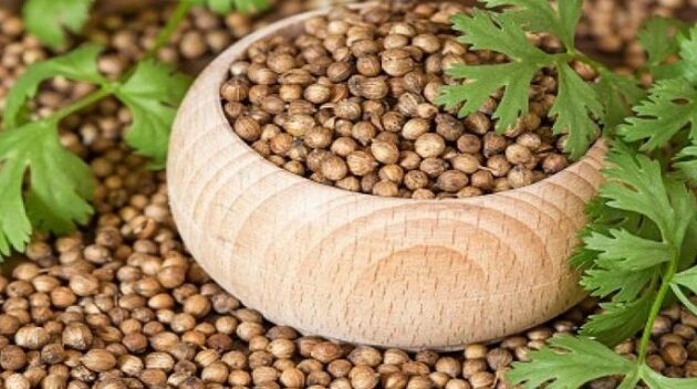 Cegah Infeksi Mata dengan Memanfaatkan Ketumbar, Berikut Cara Mengaplikasikannya dengan Benar