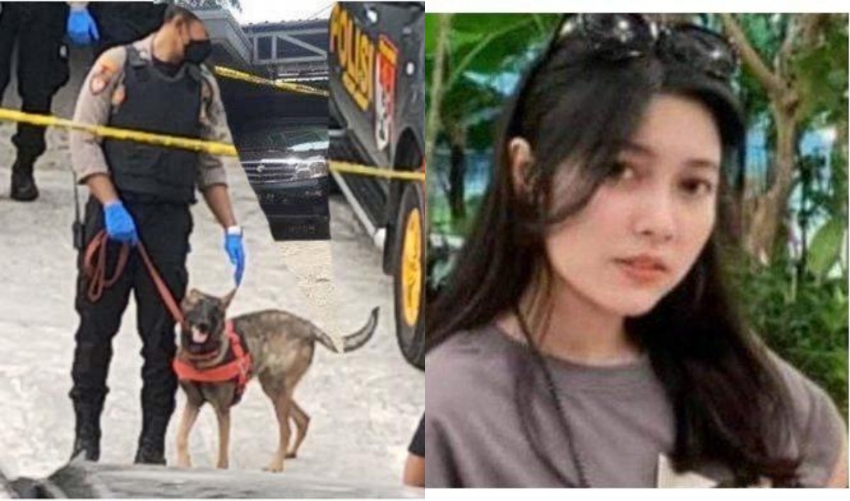 dna-pria-ini-diendus-anjing-pelacak-dari-puntung-rokok-akui-ketemu-amalia-malam-sebelum-dibunuh.jpg