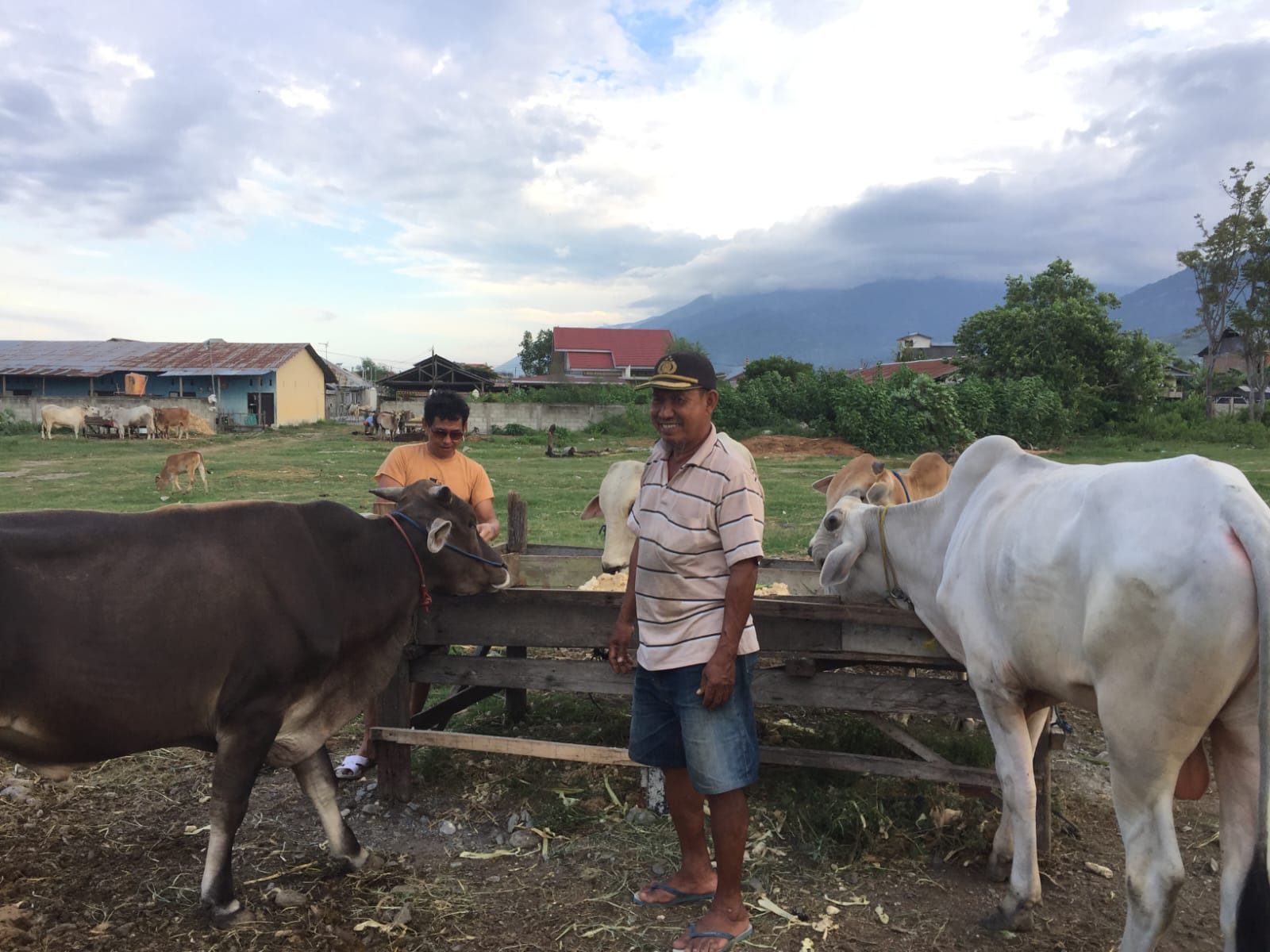 harga-sapi-dan-kambing-naik-jelang-idul-adha-2023.jpg