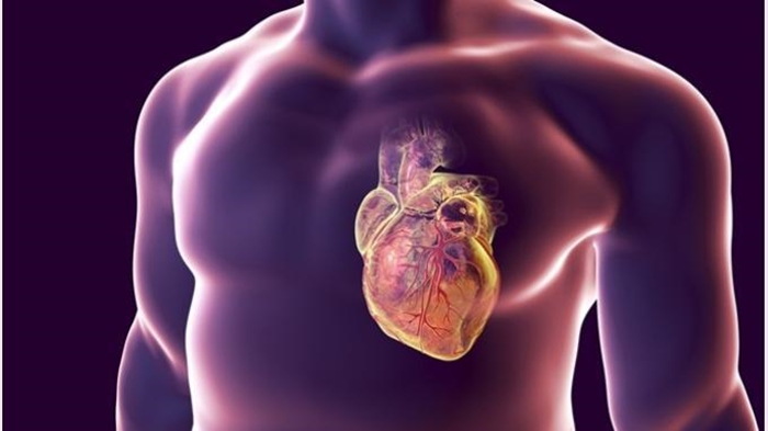 Waspadai Trigliserida Tinggi, Anda Bisa Memanfaatkan Ketumbar untuk Menetralkan Trigliserida Darah