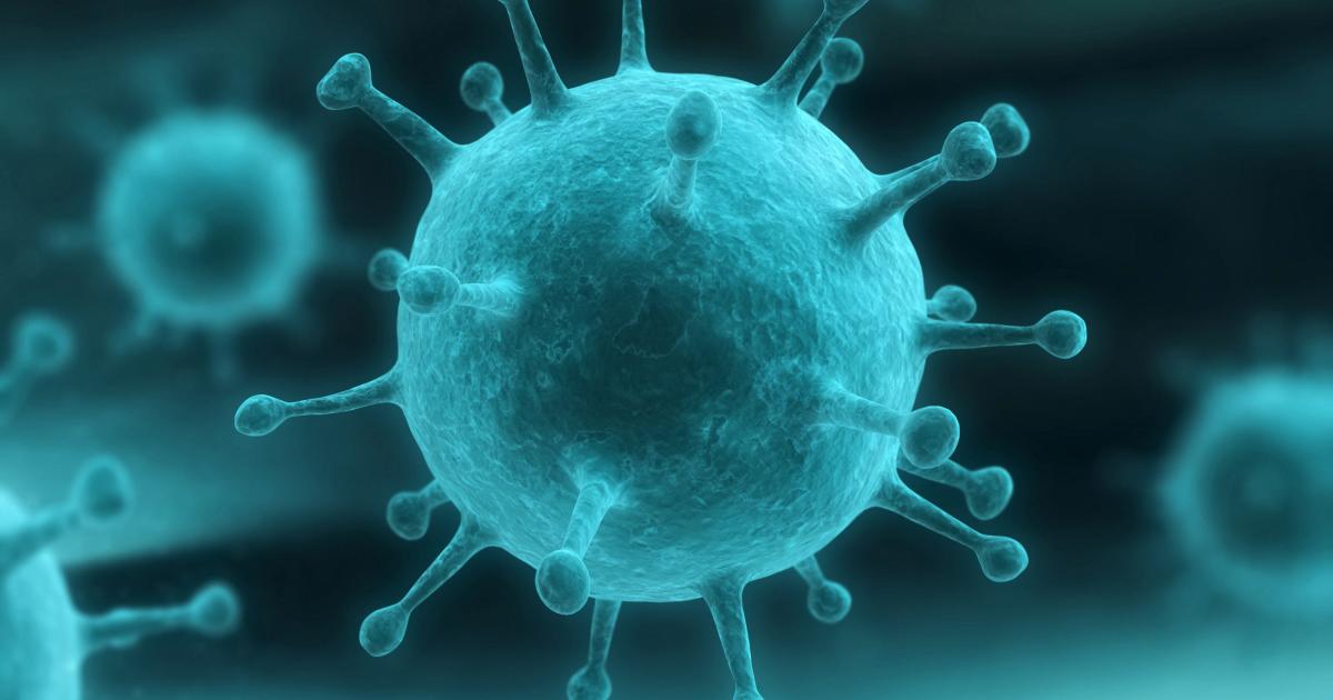 Penyebaran Virus Demam Babi Afrika Dapat Terjadi Lewat Daging Olahan Impor