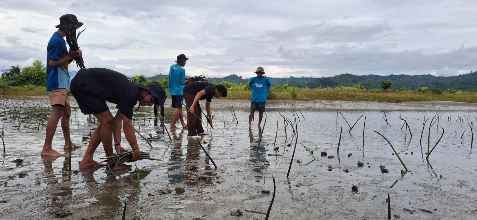 mangrove-di-Desa-Oncone-Raya.jpg