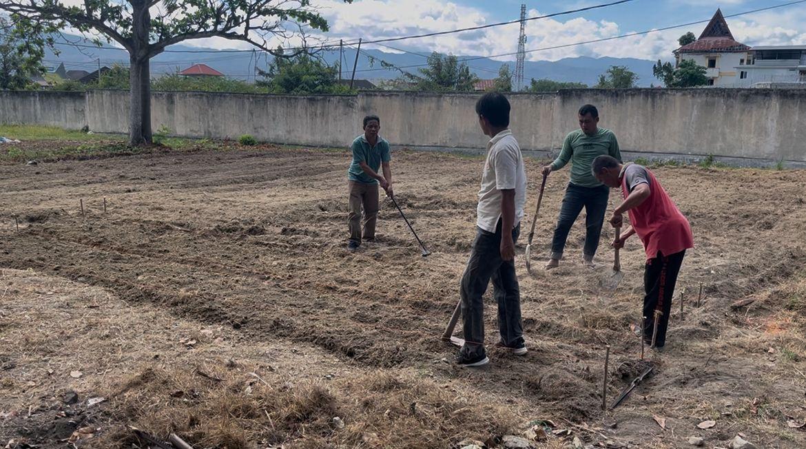 Pemkot Palu Perkuat Ketahanan Pangan Lewat Demplot Urban Farming di Lahan Tidur