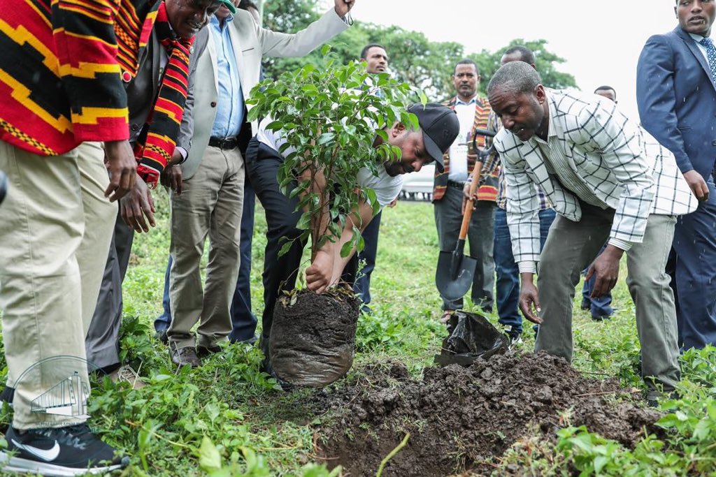 penanaman-pohon-di-ethiopia-lewat-kampanye-green-legacy-initiative.jpg