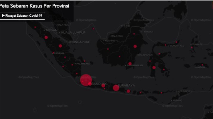 peta-sebaran-covid-19-di-indonesia.jpg
