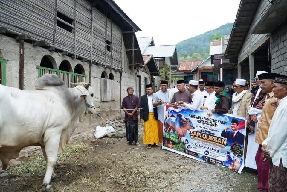 sapi-kurban154.jpg