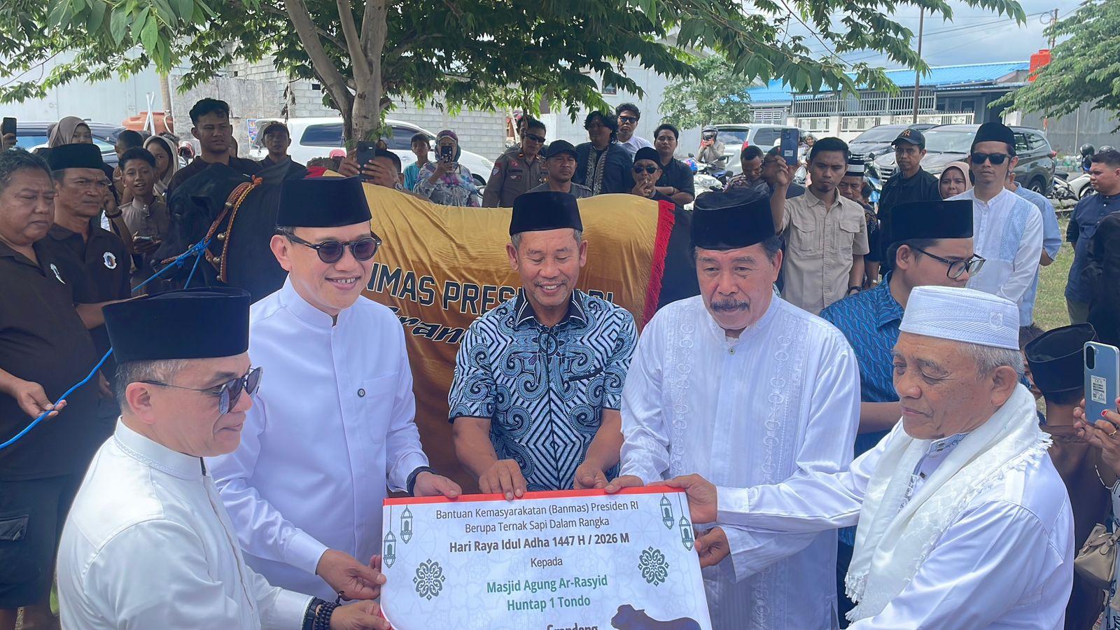 sapi-kurban54574.jpg