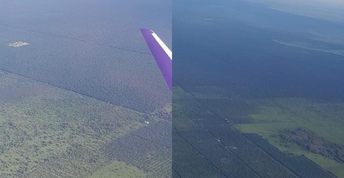 Kotawaringin Barat Dari Udara, Hanya Kebun Sawit dan Laut, Jejak Kehidupan Nyaris Tak Nampak