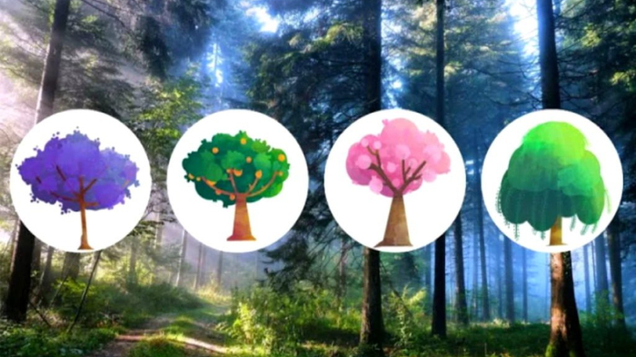 tes-kepribadian-gambar-pohon-yang-kamu-pilih-bisa-ungkap-karaktermu.jpg