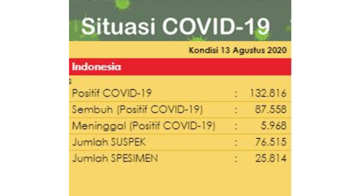 Update Virus Corona di Indonesia per Kamis, 13 Agustus 2020: Total 132.816 Kasus Positif
