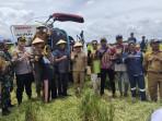 Anggota Fraksi PDIP Banggai I Made Darma Hadiri Panen Raya Padi di Masama