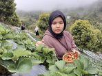 Agrowisata-Salubay-Donggala-2025.jpg