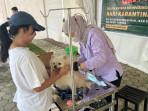 Antusias-Masyarakat-Tinggi-Kuota-Vaksinasi-Rabies-Gratis-Barantan-Ludes-dalam-3-Jam.jpg