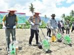 Dukung-Swasembada-Pangan-Polda-Sulteng-Targetkan-7458-Ton-Jagung-di-Kuartal-IV.jpg