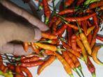 Harga-sejumlah-bahan-dapur-di-Kabupaten-Md.jpg