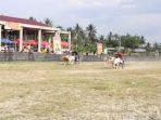 Lomba-Karapan-Sapi-Sigi-digelar-dari-4-hingga-18-Agustus-20dsd.jpg