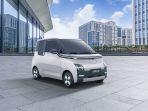 Mobil-Listrik-Wuling-Air-ev-dfv.jpg