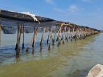 Pagar-laut-misterius-yang-berada-di-pesisir-Desa-Kronjo-Tangerang-Banten.jpg