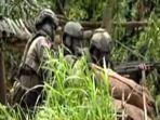 Prajurit-TNI-saat-berada-di-tengah-hutan-Papua-buru-KKB.jpg