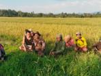 Serap Aspirasi Petani, Anggota DPRD Banggai Fraksi PDIP Siti Aria Turun Langsung ke Sawah