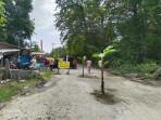 BREAKING NEWS: Warga Kompanga Banggai Tanam Pohon Pisang di Tengah Jalan