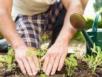 berkebun24.jpg