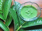 daun-jambu-biji.jpg