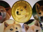 dogecoin-1.jpg